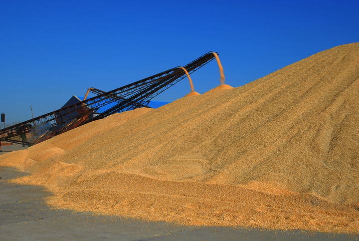 1673397268342662.png image.png