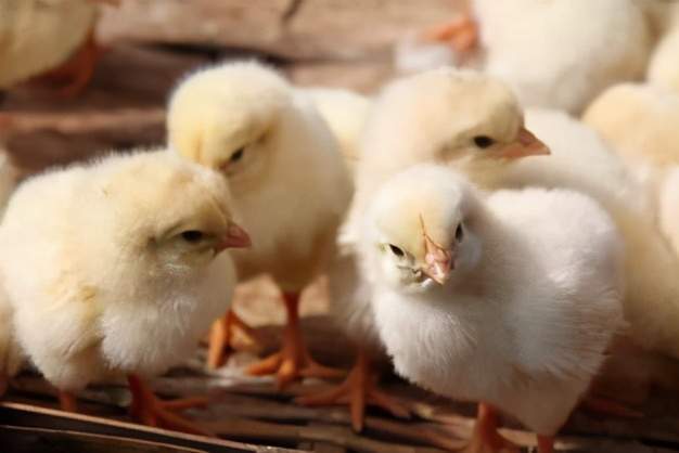 1673397518189511.jpg 下載.jpg